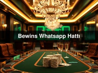 Bewins Whatsapp