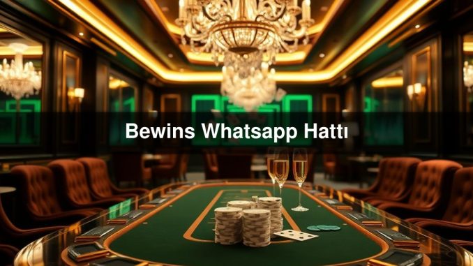 Bewins Whatsapp