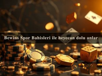 Bewins Spor