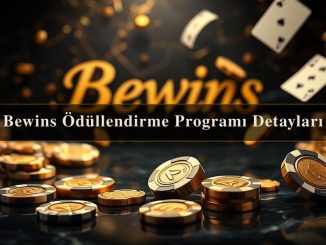 Bewins Ödüllendirme